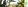 © AgriCord FO4ACPA Banner